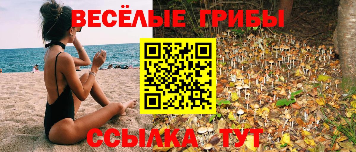 Галлюциногенные грибы GOLDEN TEACHER Борзя
