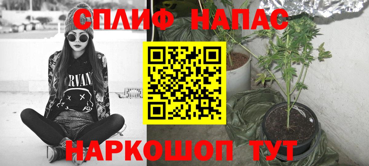 Бошки Шишки марихуана  Марихуана OG Kush  Борзя  Вход с VPN  Шишки марихуана план  Канабис индика 